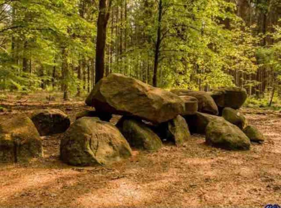 Chalet Midden In De Natuur! 安卢 外观 照片